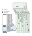 Afbeeldingen van Combur test